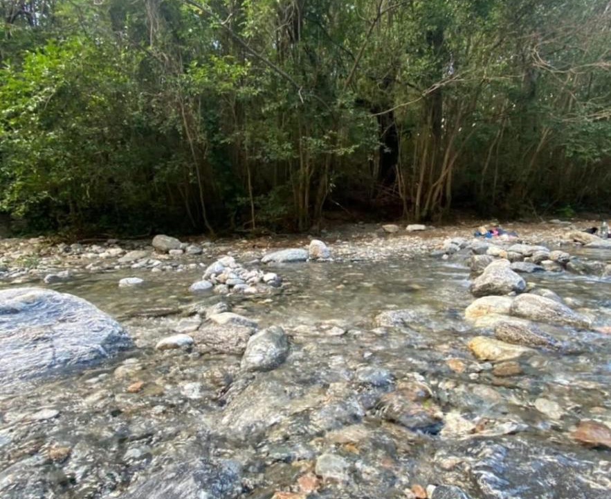 Photo of Others in Merlo