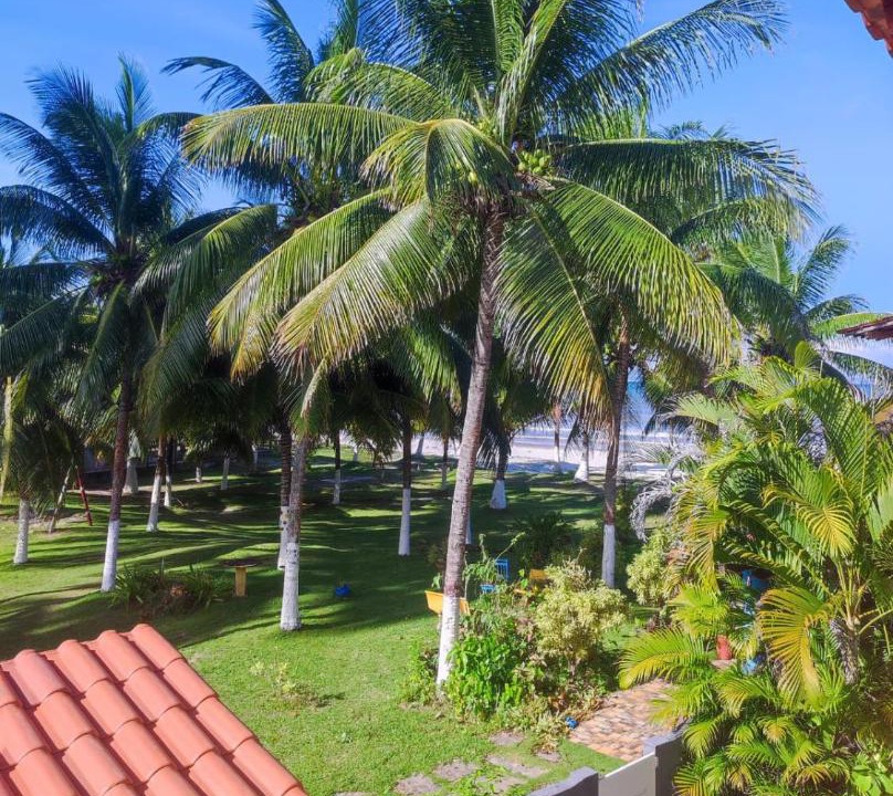 Photo of Others in Olivenca