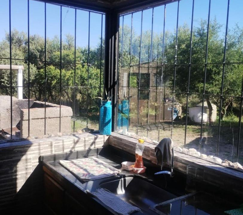 Photo of Others in Cortaderas