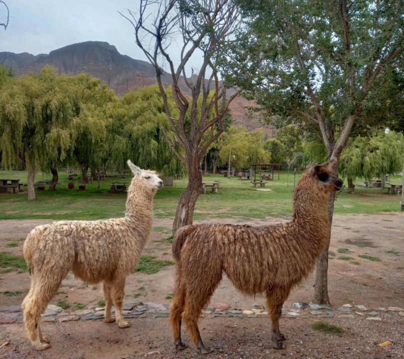 Photo of Others in Tilcara