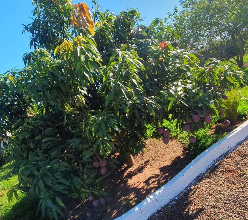 Photo of Outdoor in Centro