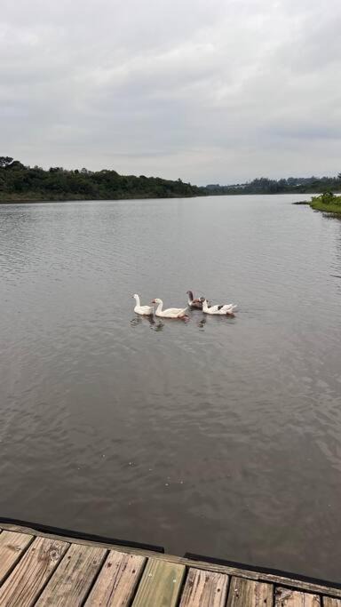 Photo of Others in Aguas de Santa Barbara