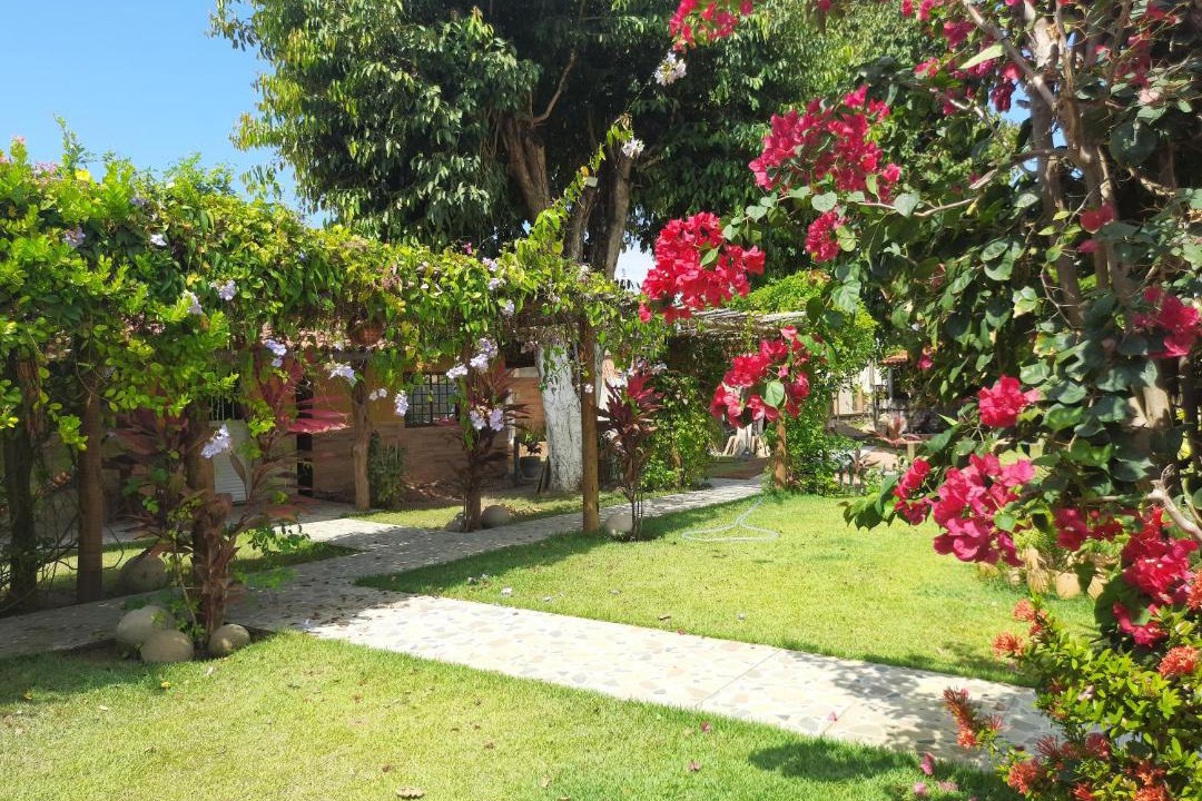 Photo of Others in Porto da Rua