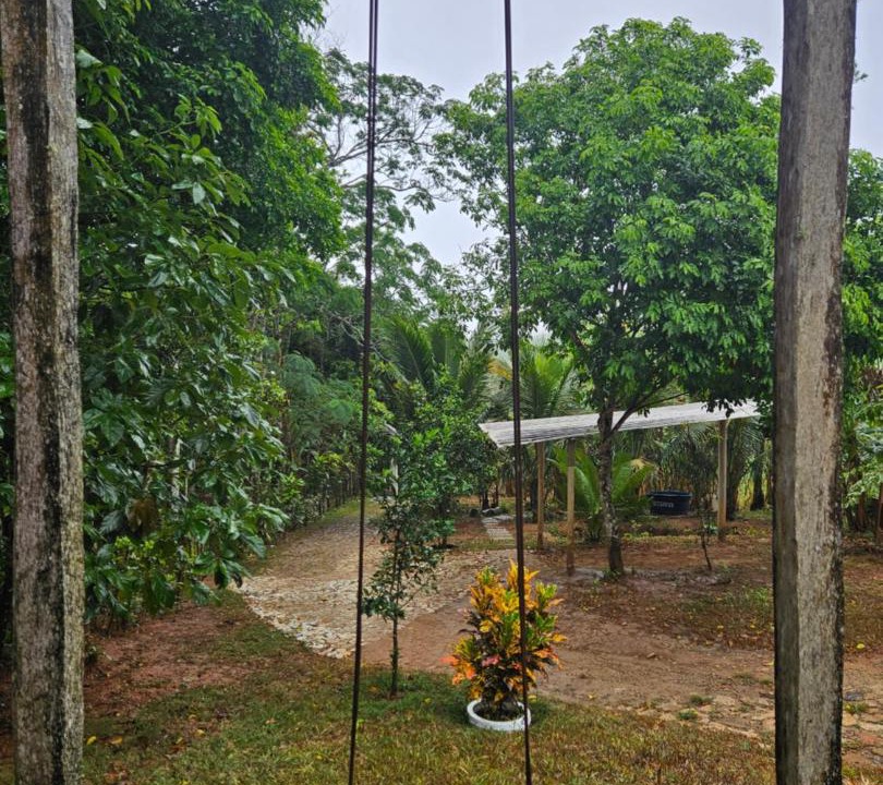 Photo of Others in Guaramiranga