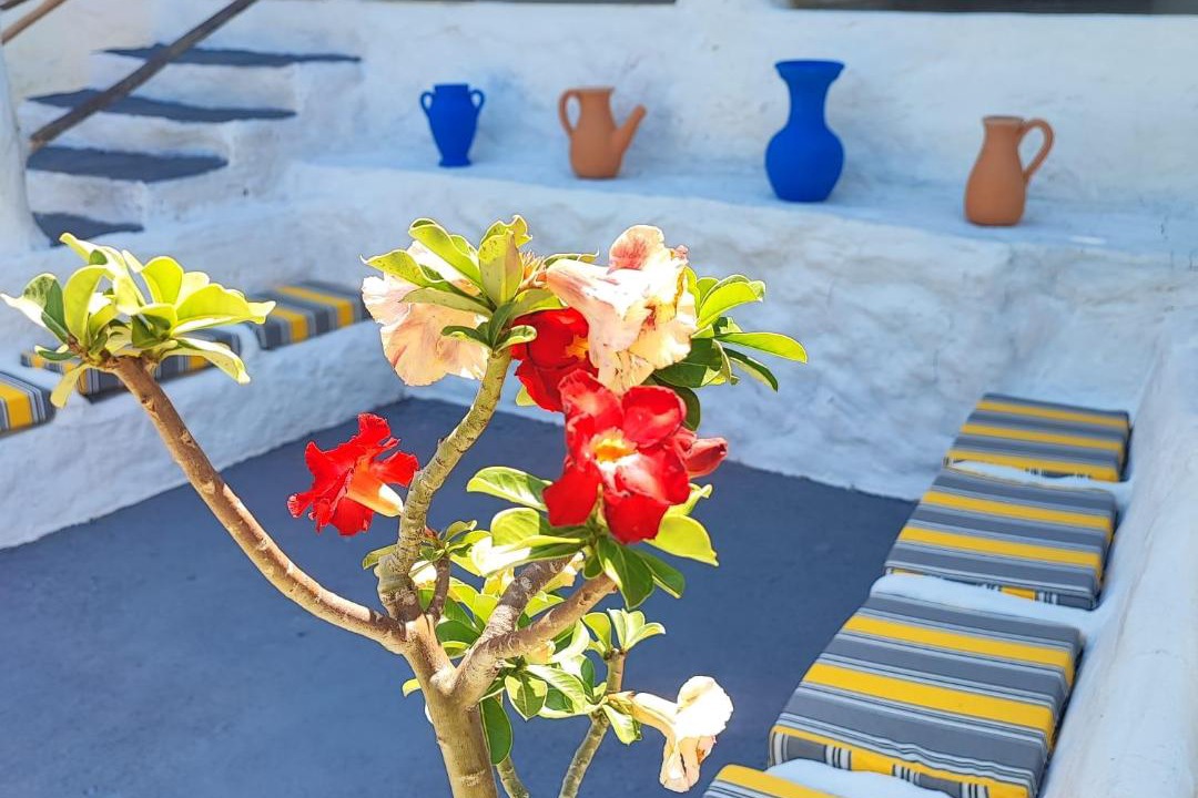 Photo of Patio Balcony in Pacatuba