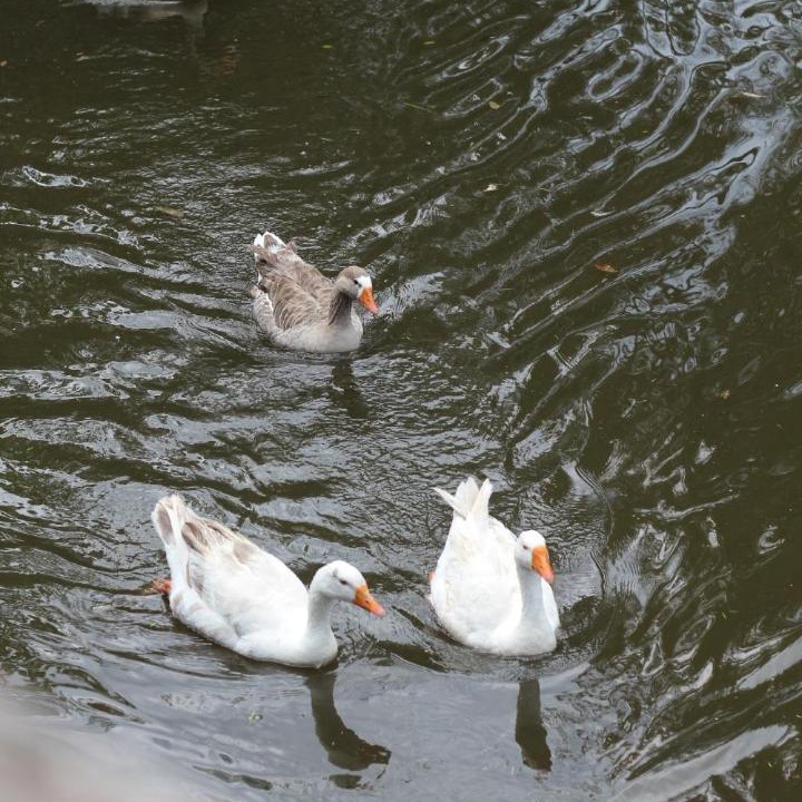 Photo of Others in Curitiba