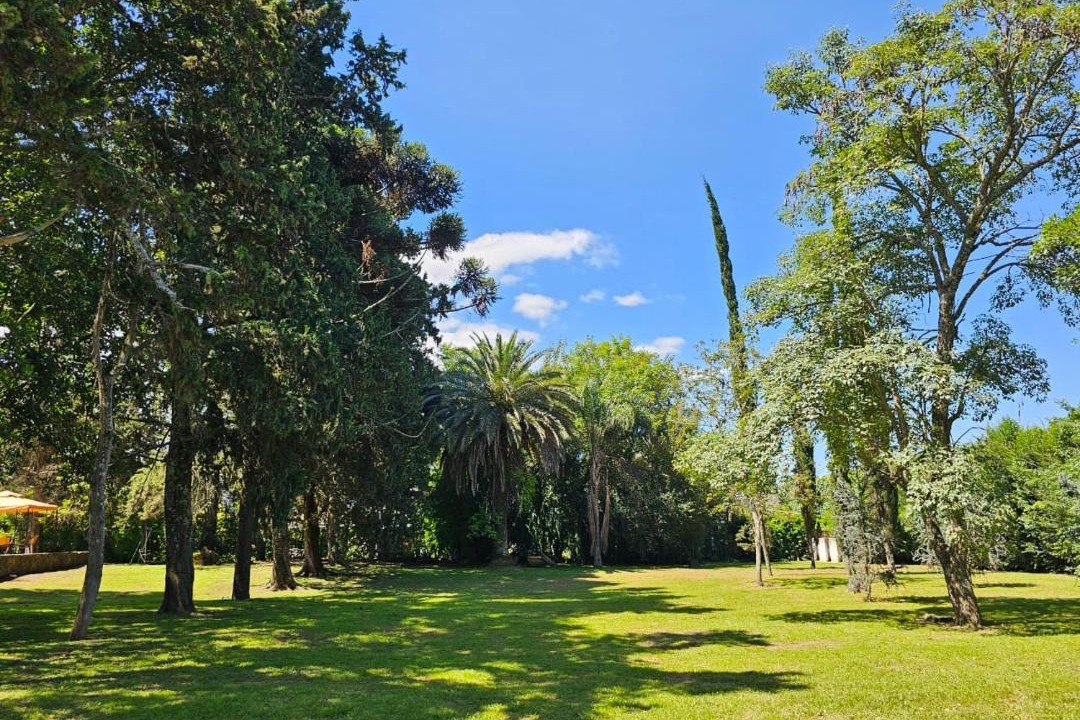 Photo of Others in Villa San Lorenzo