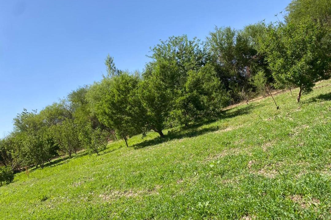 Photo of Outdoor in Belen