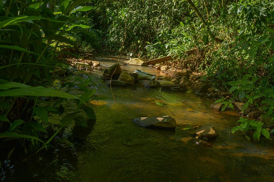 Photo of Others in Sao Jose do Hortencio