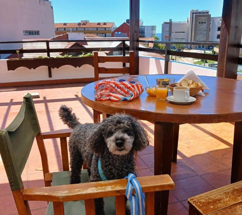 Photo of Others in Villa Gesell