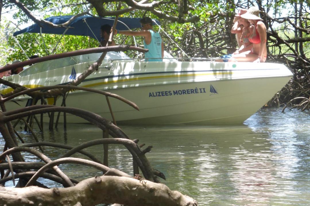 Photo of Others in Ilha de Boipeba