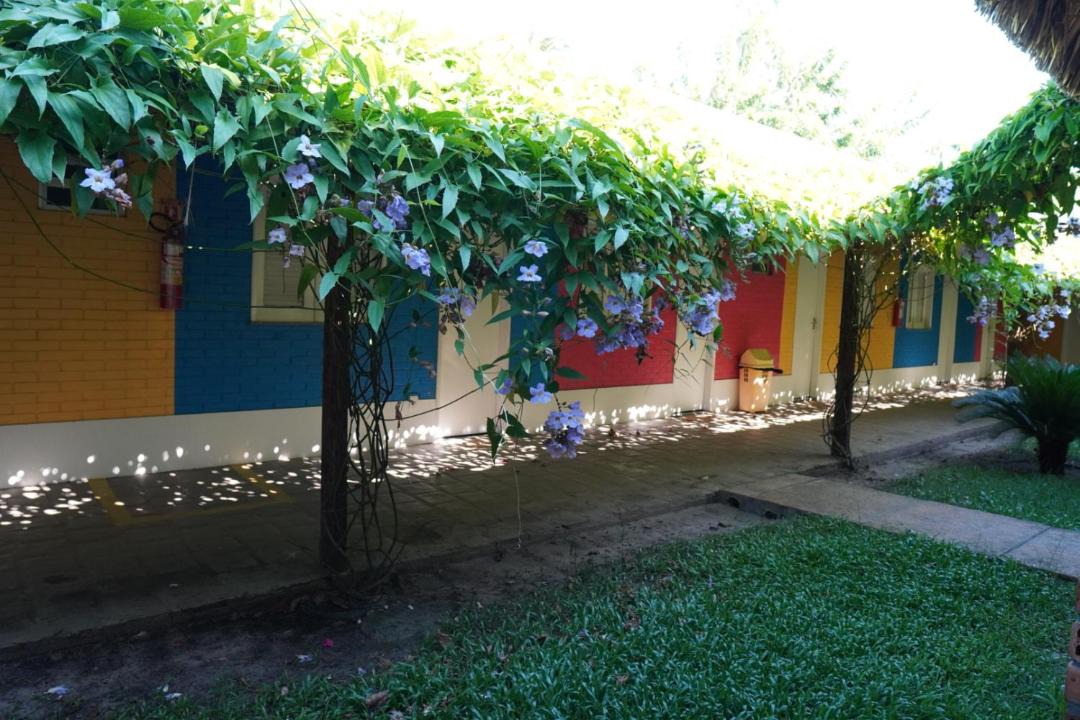 Photo of Others in Santo Amaro do Maranhao