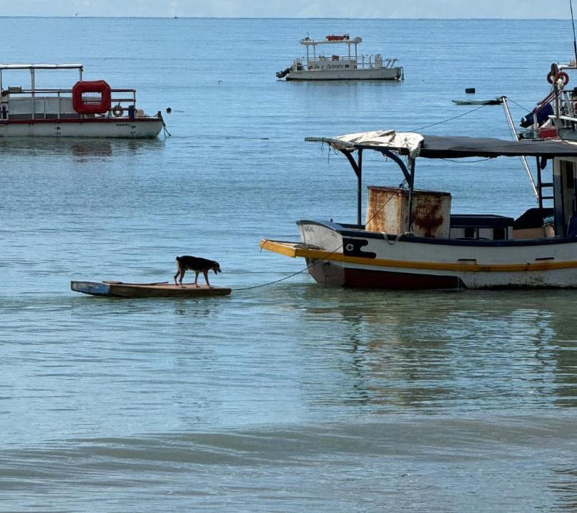 Photo of Others in Maracajau