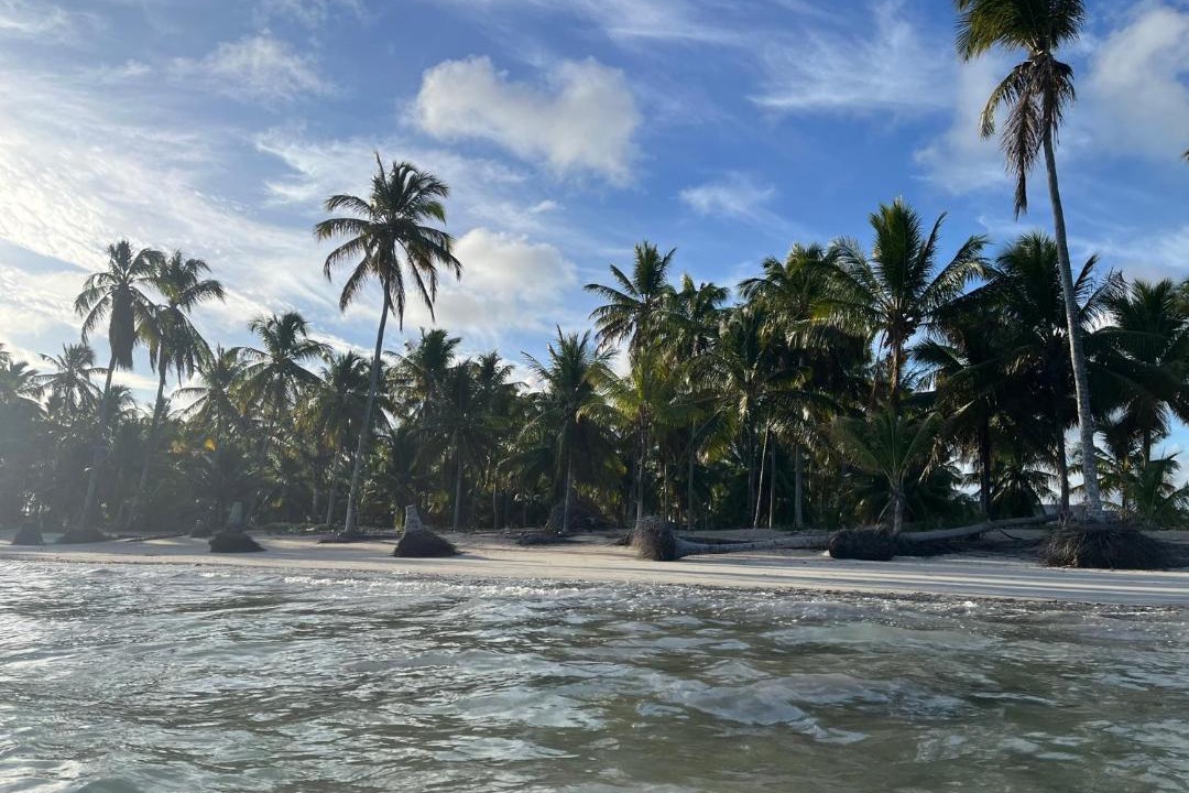 Photo of Others in Tatuamunha