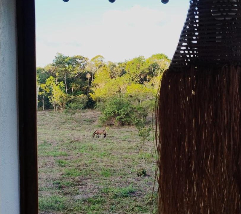 Photo of Others in Caraiva