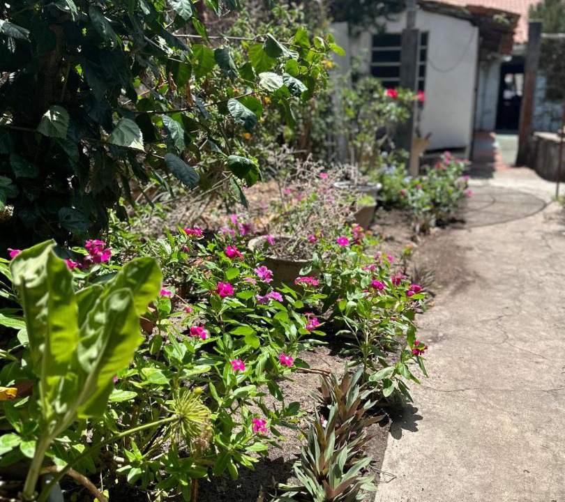 Photo of Outdoor in Tutoia
