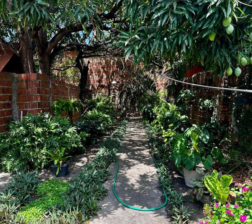 Photo of Outdoor in Tutoia