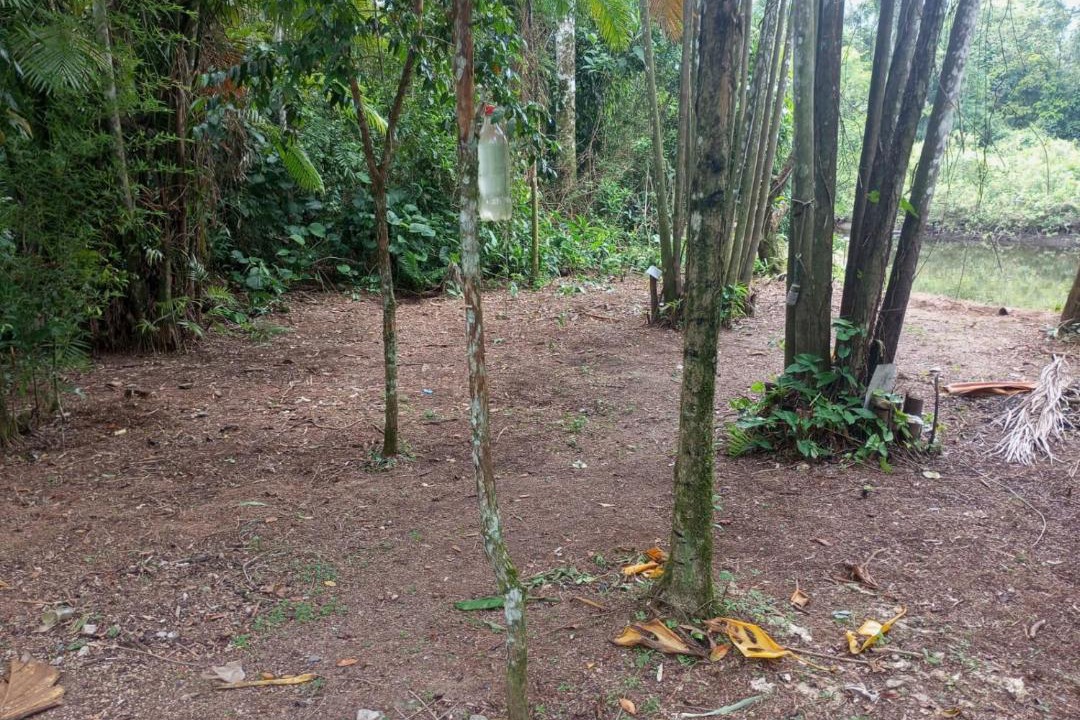 Photo of Others in Ubatuba