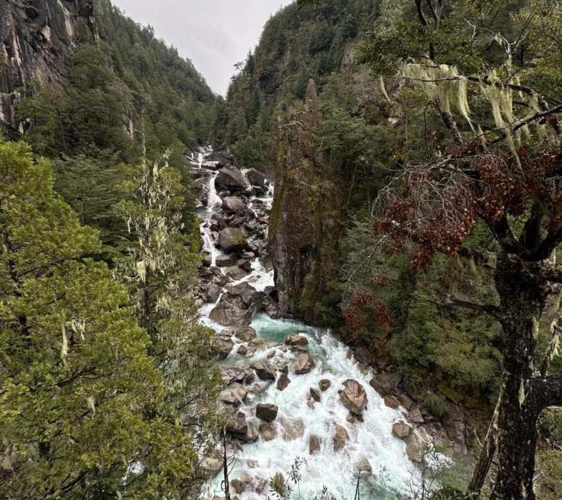 Photo of Others in Lago Puelo