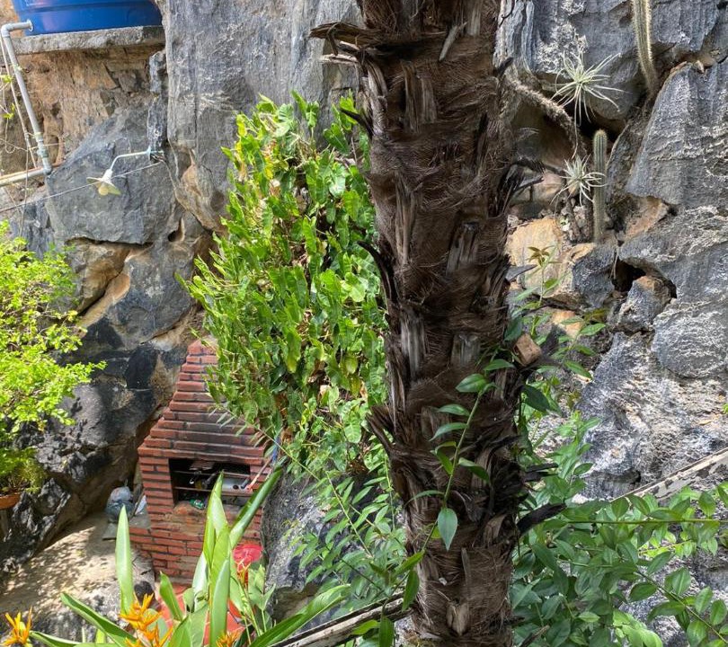 Photo of Others in Bom Jesus Da Lapa