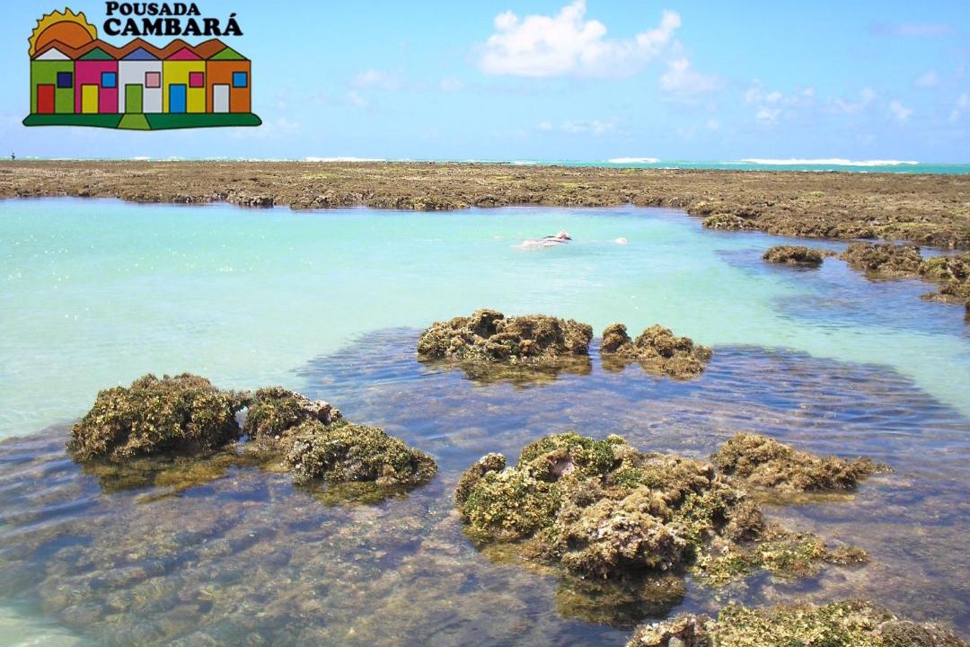 Photo of Others in Tamandare