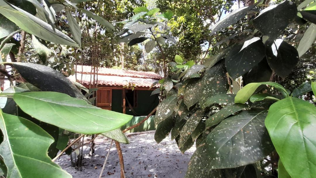 Photo of Others in Cumuruxatiba