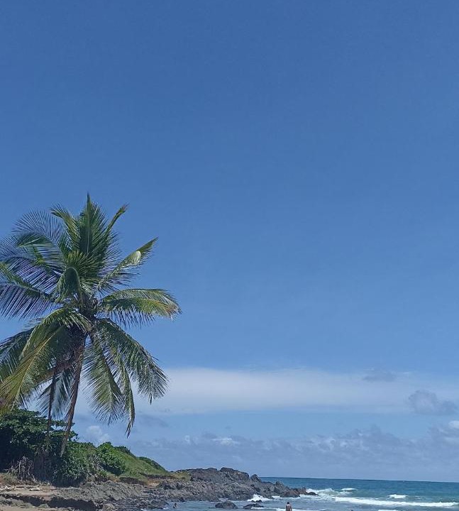 Photo of Others in Pontal