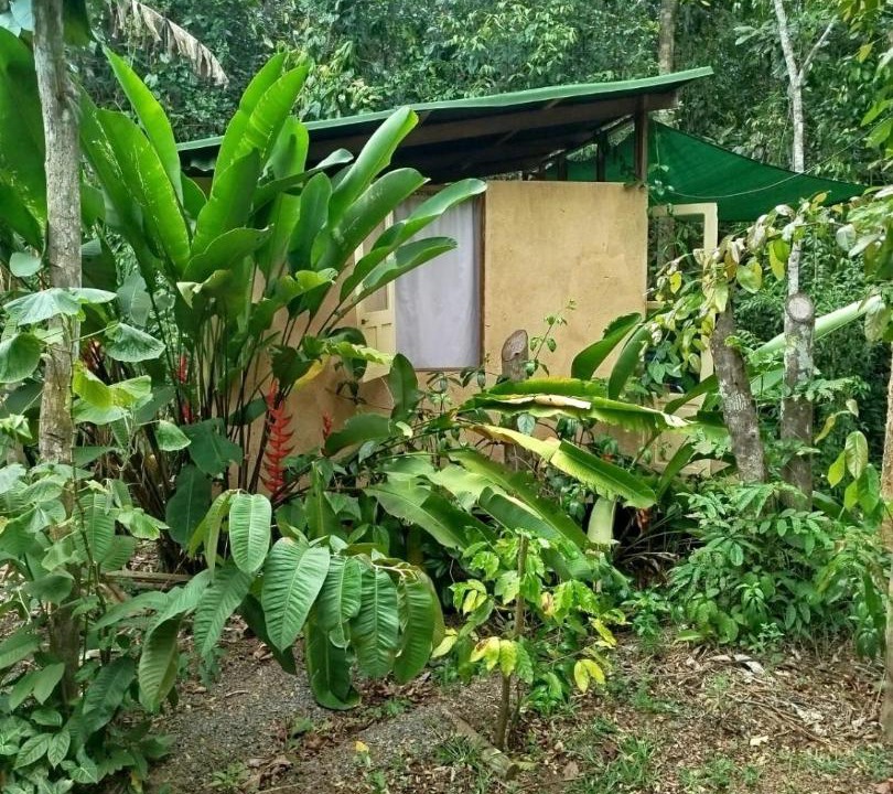 Photo of Others in Serra Grande