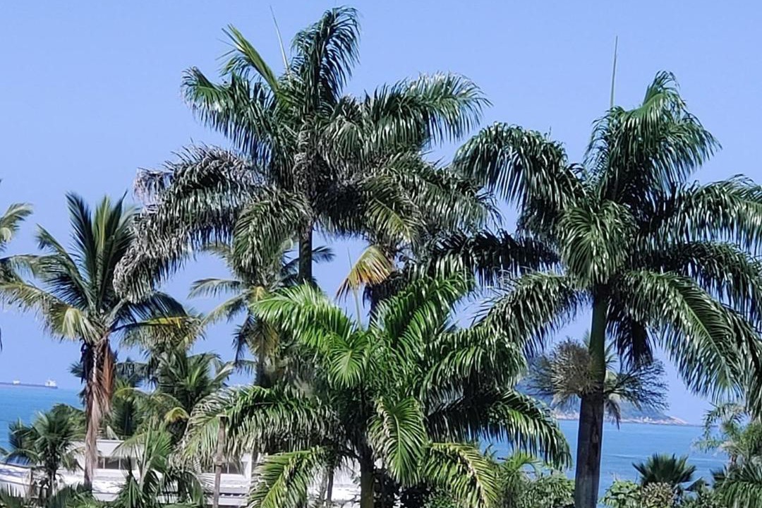 Photo of Others in Vila Julia
