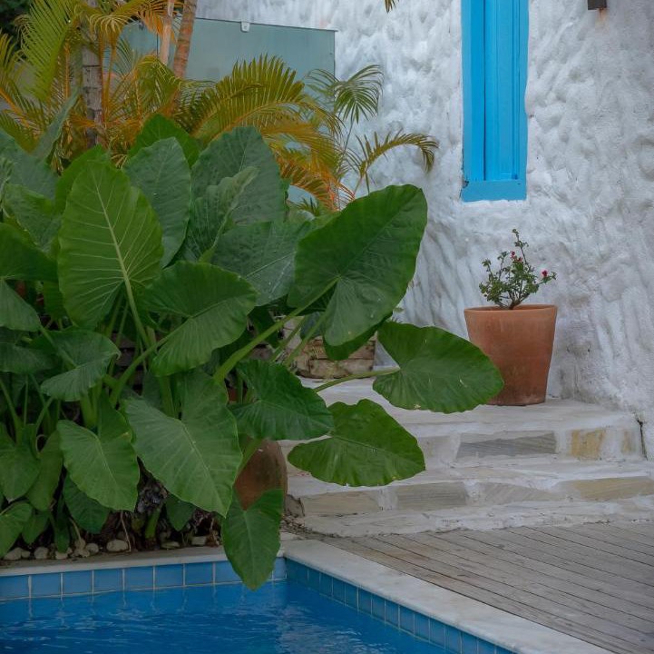 Photo of Others in Trancoso