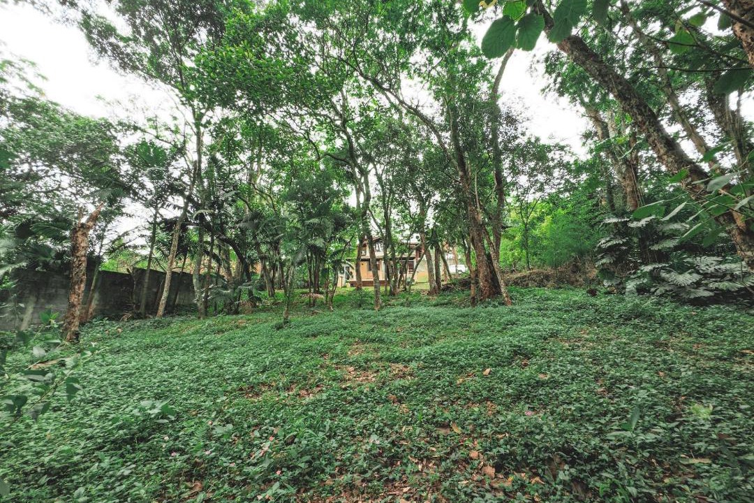 Photo of Others in Carapicuiba