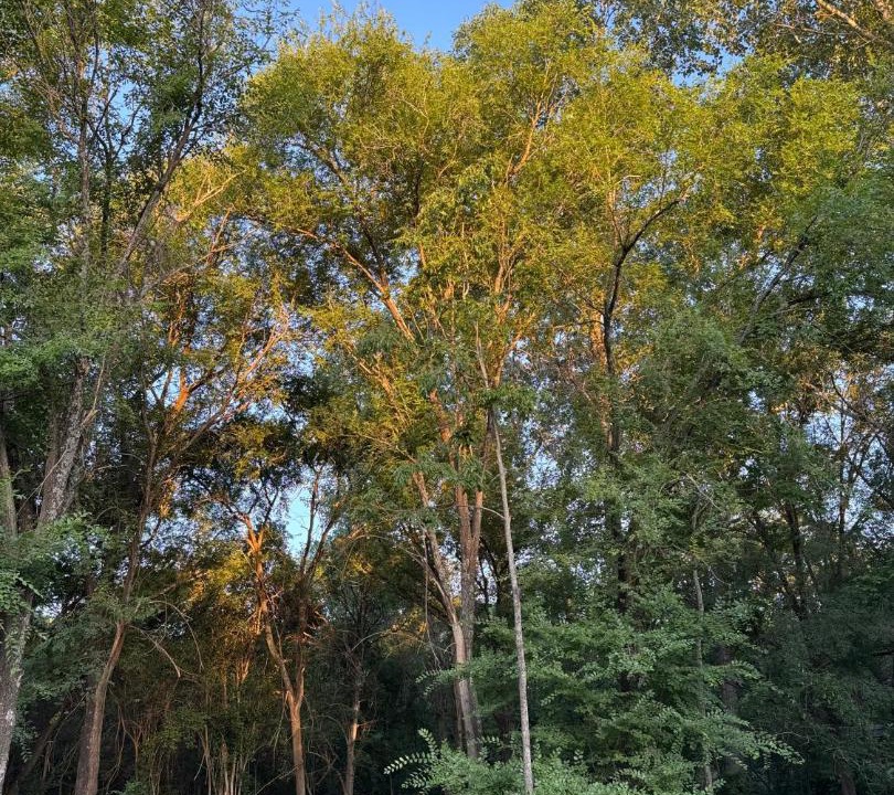 Photo of Outdoor in Casa Grande