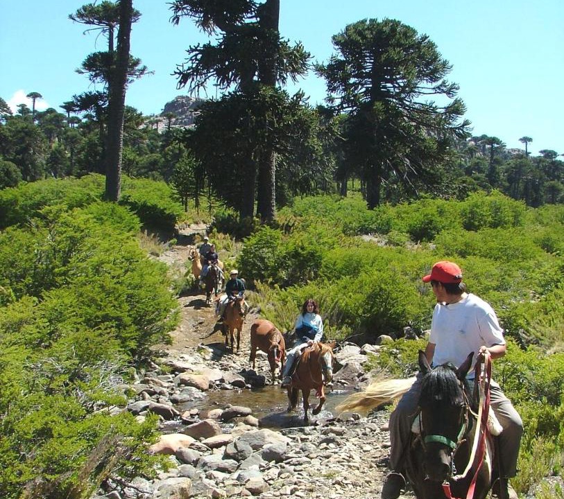 Photo of Others in Caviahue