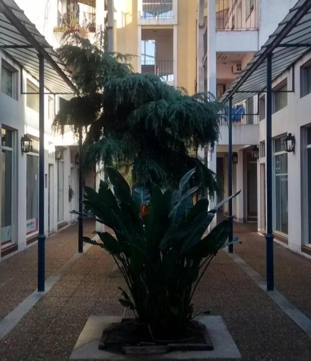 Photo of Others in Lujan