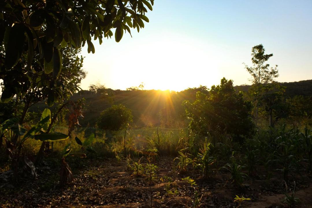 Photo of Others in Piloes