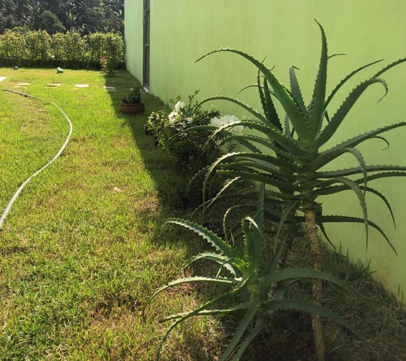 Photo of Outdoor in Sao Paulo