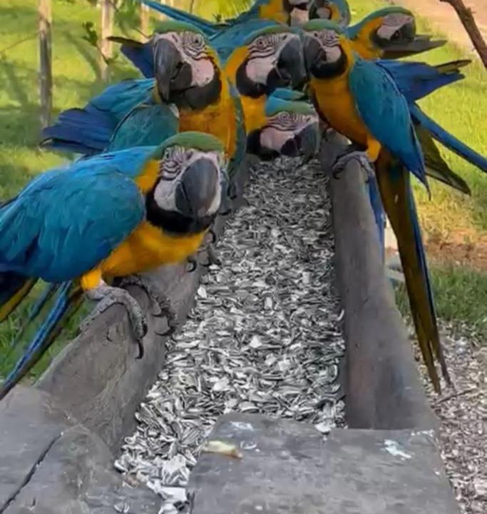 Photo of Others in Alto Paraiso de Goias
