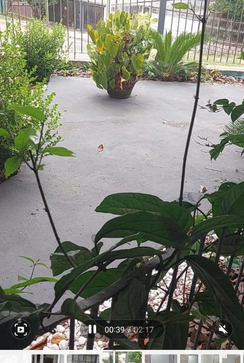 Photo of Others in Jardim Sabara