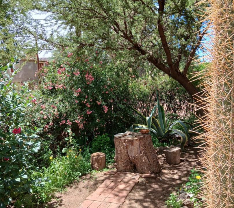 Photo of Others in Humahuaca