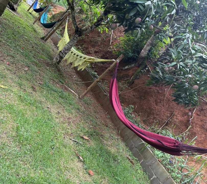 Photo of Outdoor in Santa Leopoldina