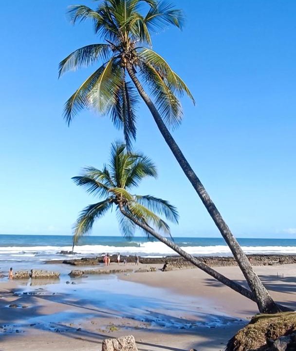 Photo of Others in Pontal