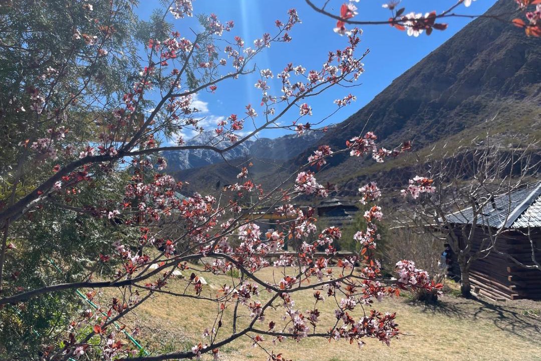 Photo of Others in Potrerillos