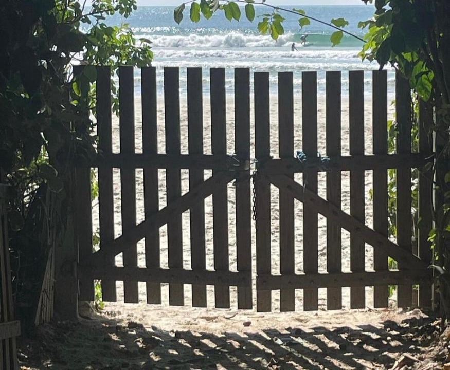 Photo of Others in Pantano do Sul