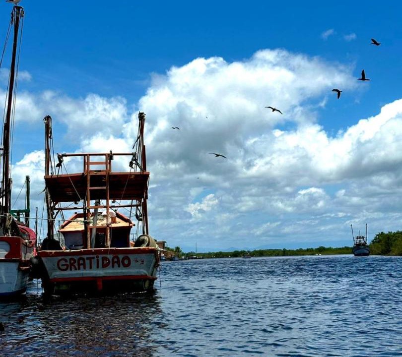 Photo of Others in Balneario Barra do Sul