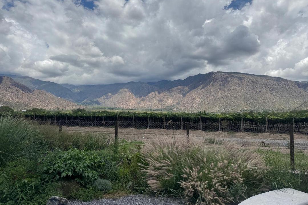 Photo of Others in Cafayate