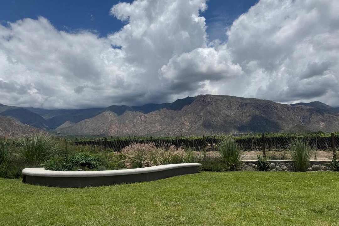 Photo of Others in Cafayate