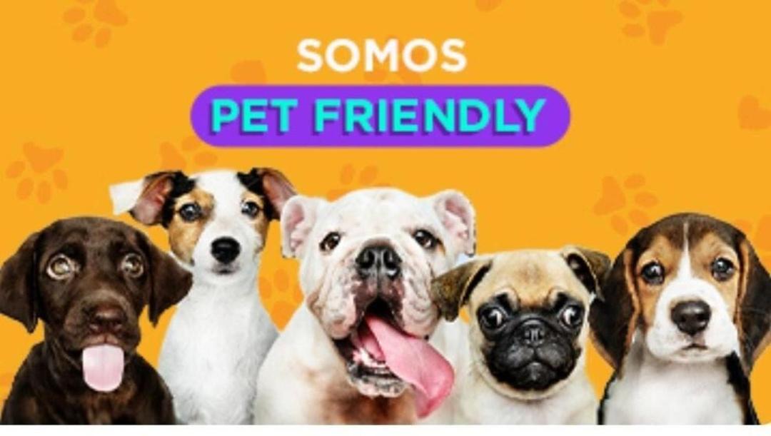 Photo of Others in Santos