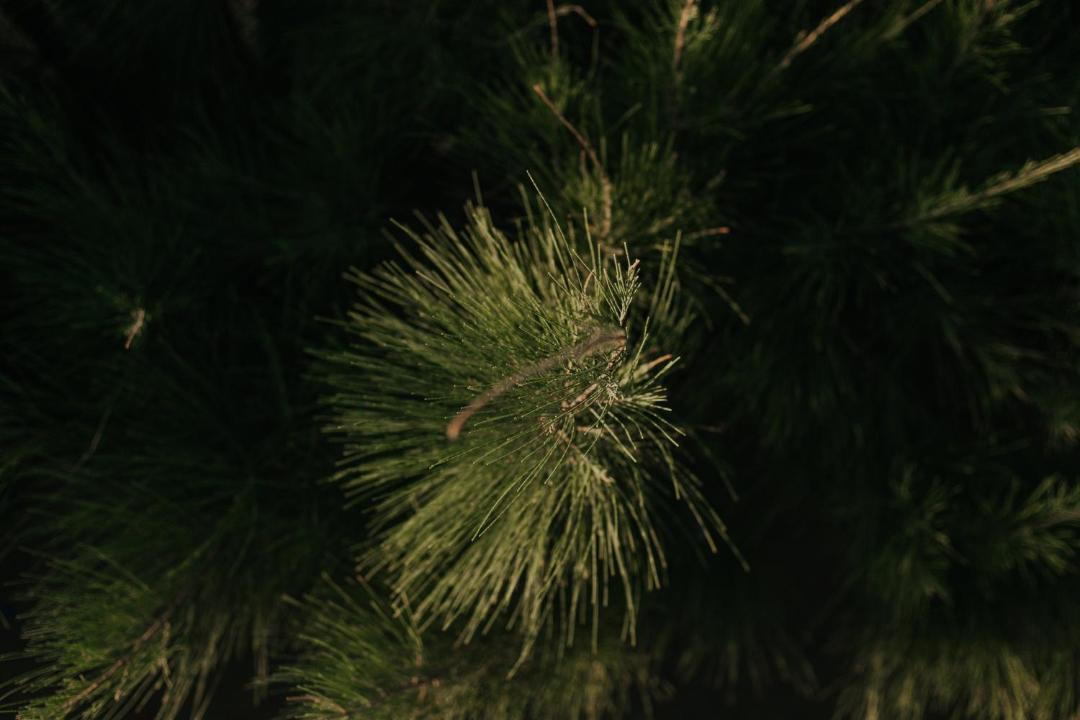 Photo of Others in Tutoia