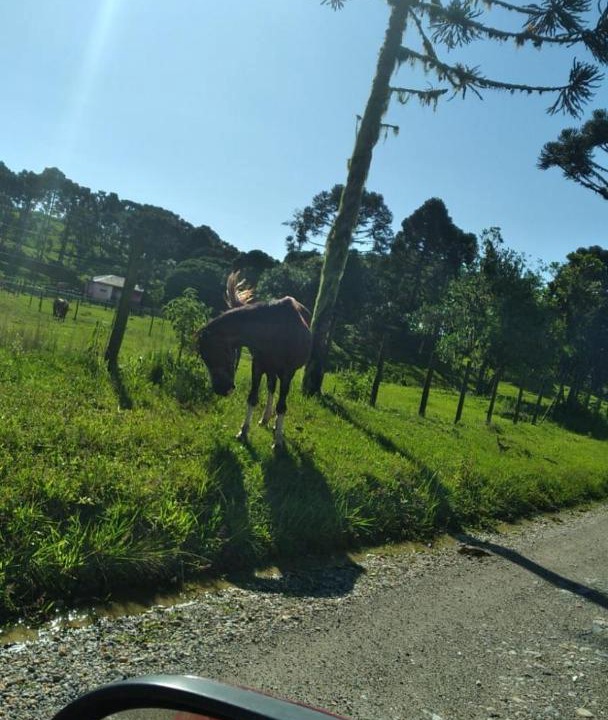 Photo of Others in Muquem