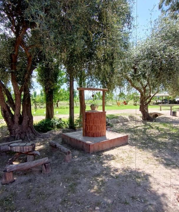 Photo of Others in Cuadro Nacional